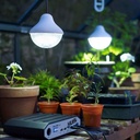 fd7610e2832641fdb5850a36c4f0f354.jpg?width=650&height=650&mode=min&quality=85