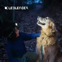 B08VHR7ST6.PT02_2048x2048.webp