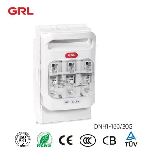 [113698] Fused Switch Disconnector ( Fixed Type Without Fuse NH1 ) DNH1-160/30G