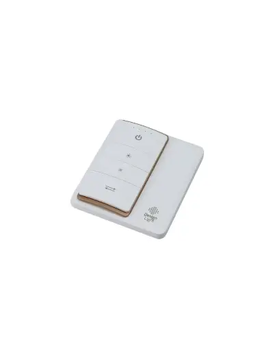 [120027] VIVO SET - RF 4-zone MONO LED controller with a remote control - VIVO-ZES-MONO1-4S-BI-01